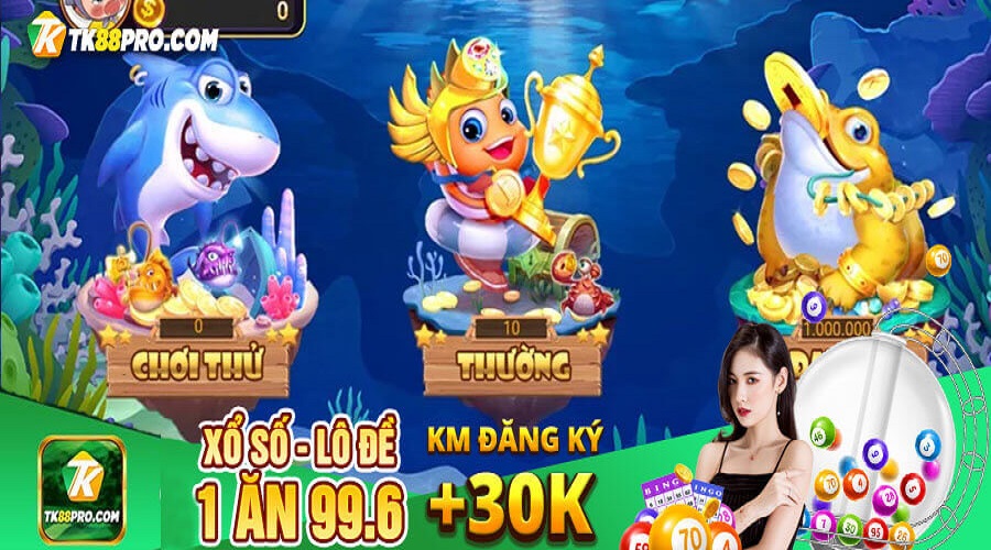 bắn cá bingo
