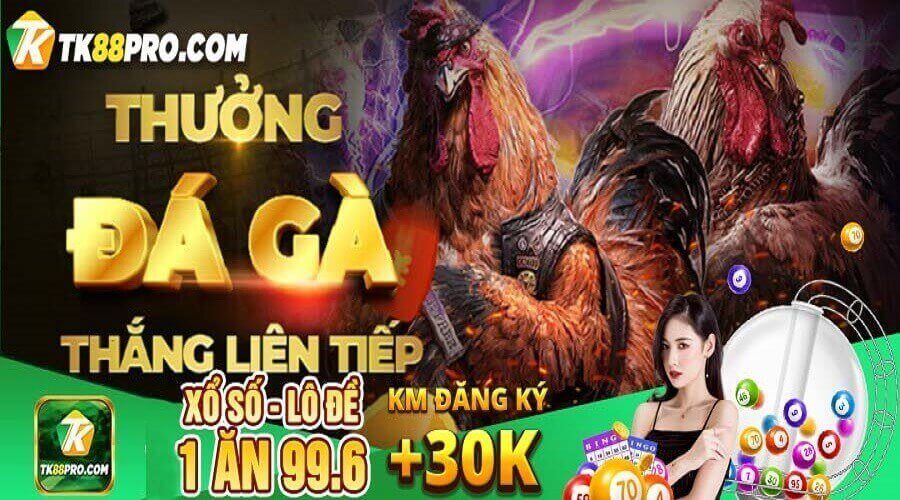 đá gà tk88