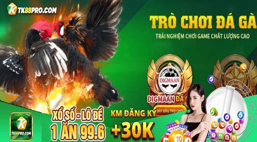 đá gà tk88