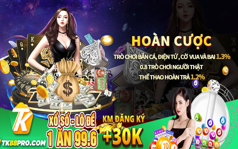 VN666